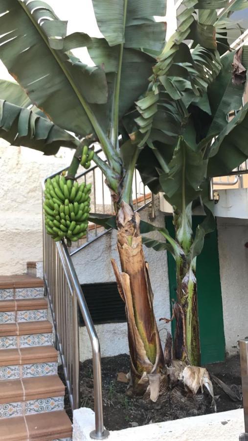 Appartamento in the heart of Playa del Inglés San Bartolomé Esterno foto